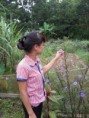 /album/th%c6%b0-vi%e1%bb%87n-%e1%ba%a3nh/a2013-08-25-14-30-30-jpg/